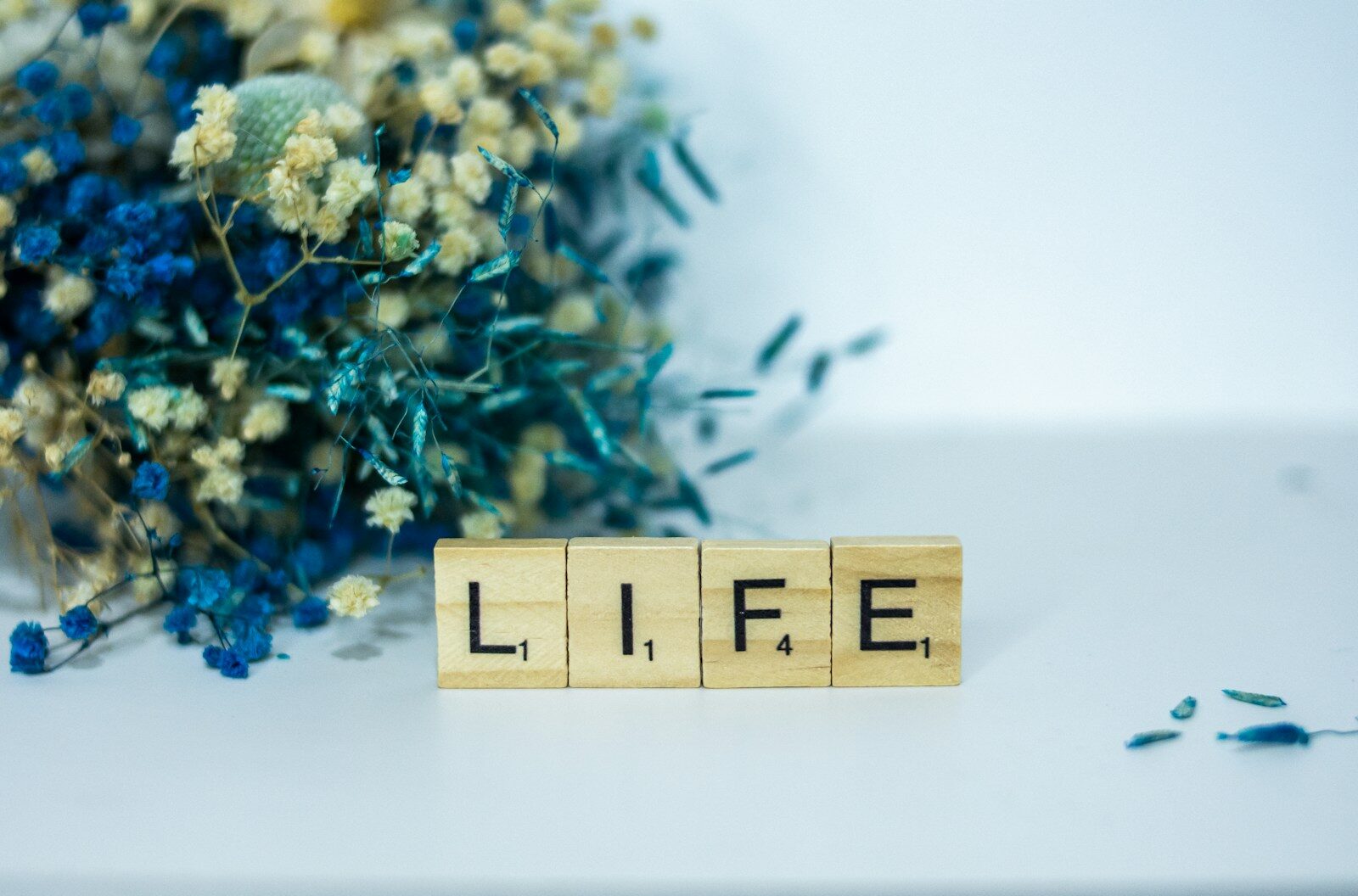 What Happens to Your Life Insurance Policy If You Stop Paying Premiums?